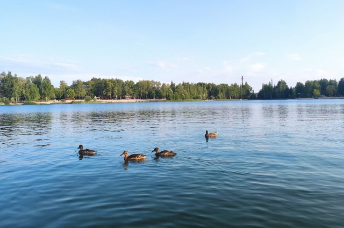    В водоемах на девяти пляжах Нижнего Новгорода купаться не рекомендуется