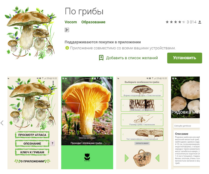 Поиск грибов по фото онлайн: программы-справочники и приложения на телефон для р
