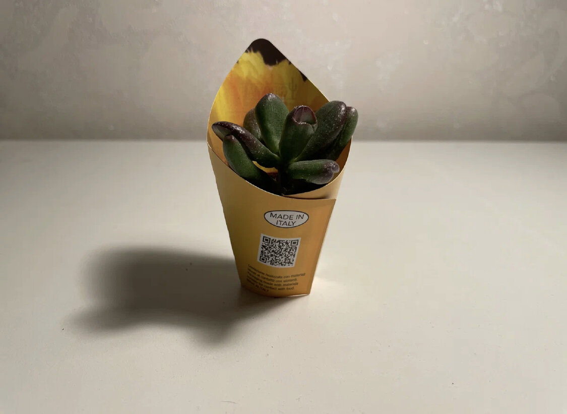 Хоббит только приехал из магазина 