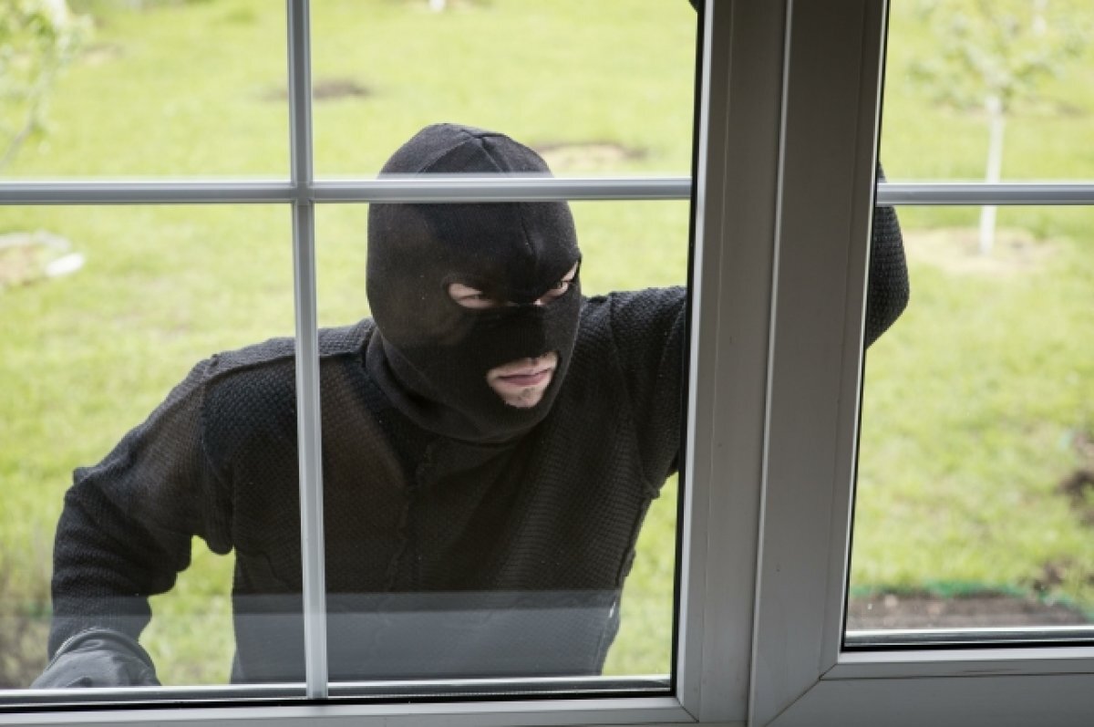    В Израиле грабители украли из квартиры только щенков и котят