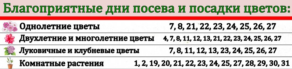 Удачный лунный календарь на февраль 2025