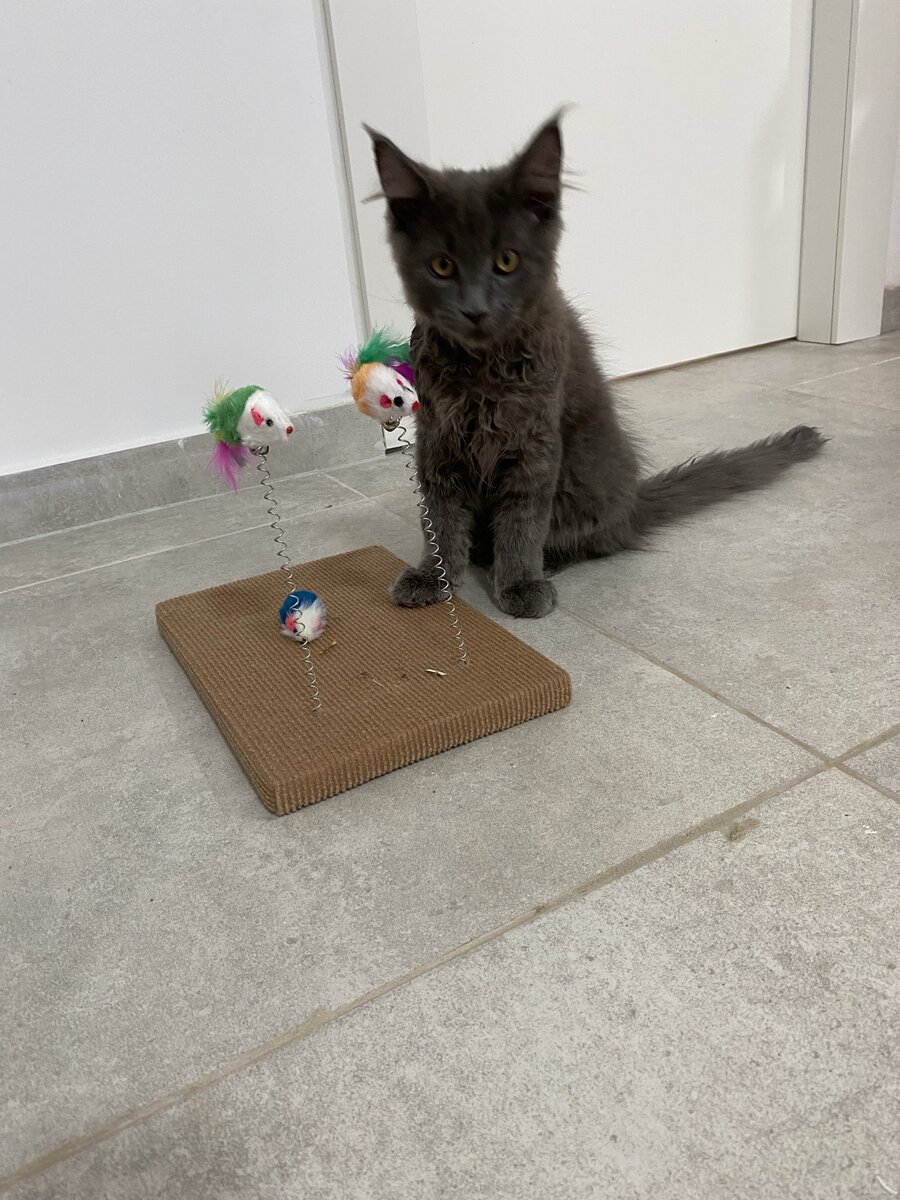 Наше сокровище первый  день дома. 