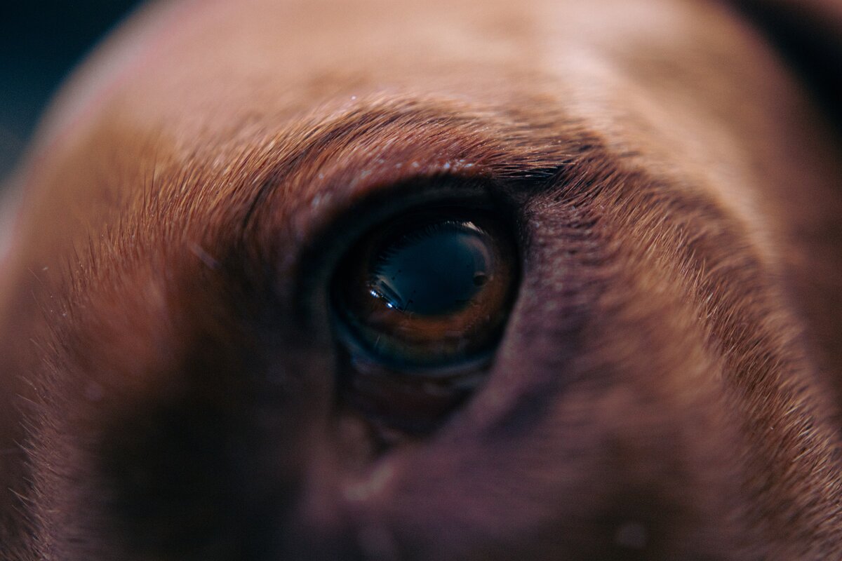 Картинка с бесплатного фотостока https://unsplash.com, автор Orian Lev Ari