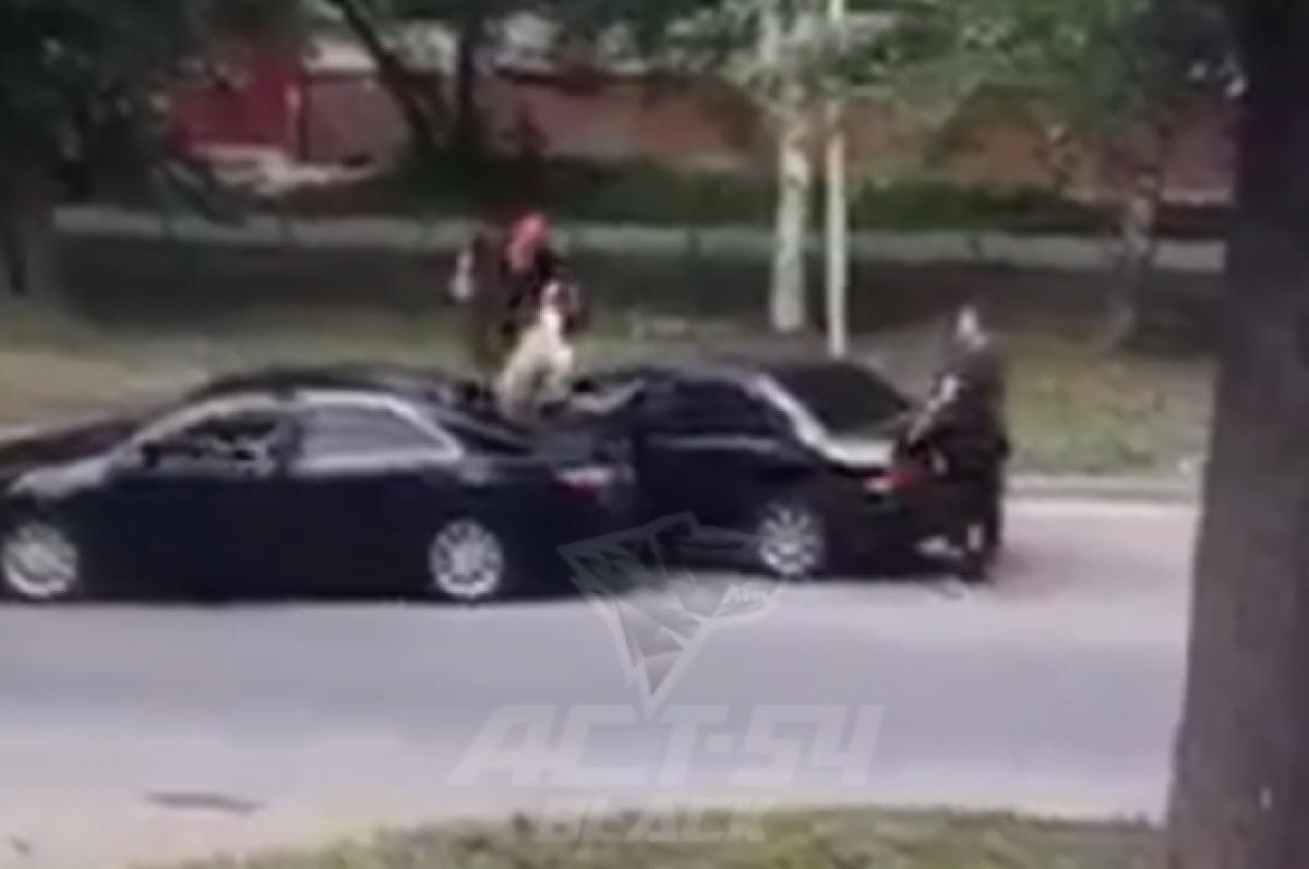    В Новосибирске мужчина жестоко избил водителя после ДТП