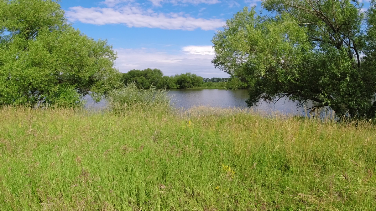 Озеро среди полей