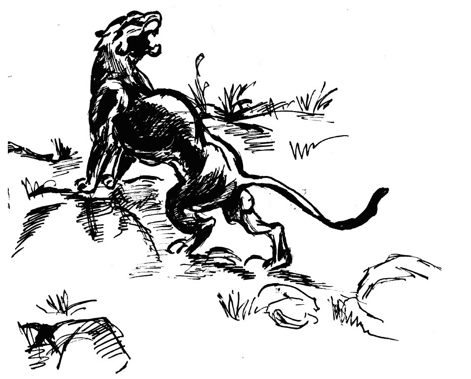 рисунок Галины Маркус 