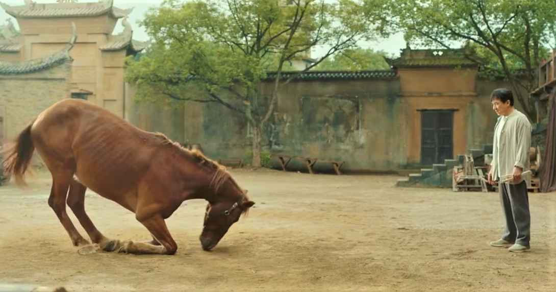 джеки чан жеребец. джеки жеребец. джеки чан кан фу. джеки жеребец. джеки чан кунг фу жеребец.
