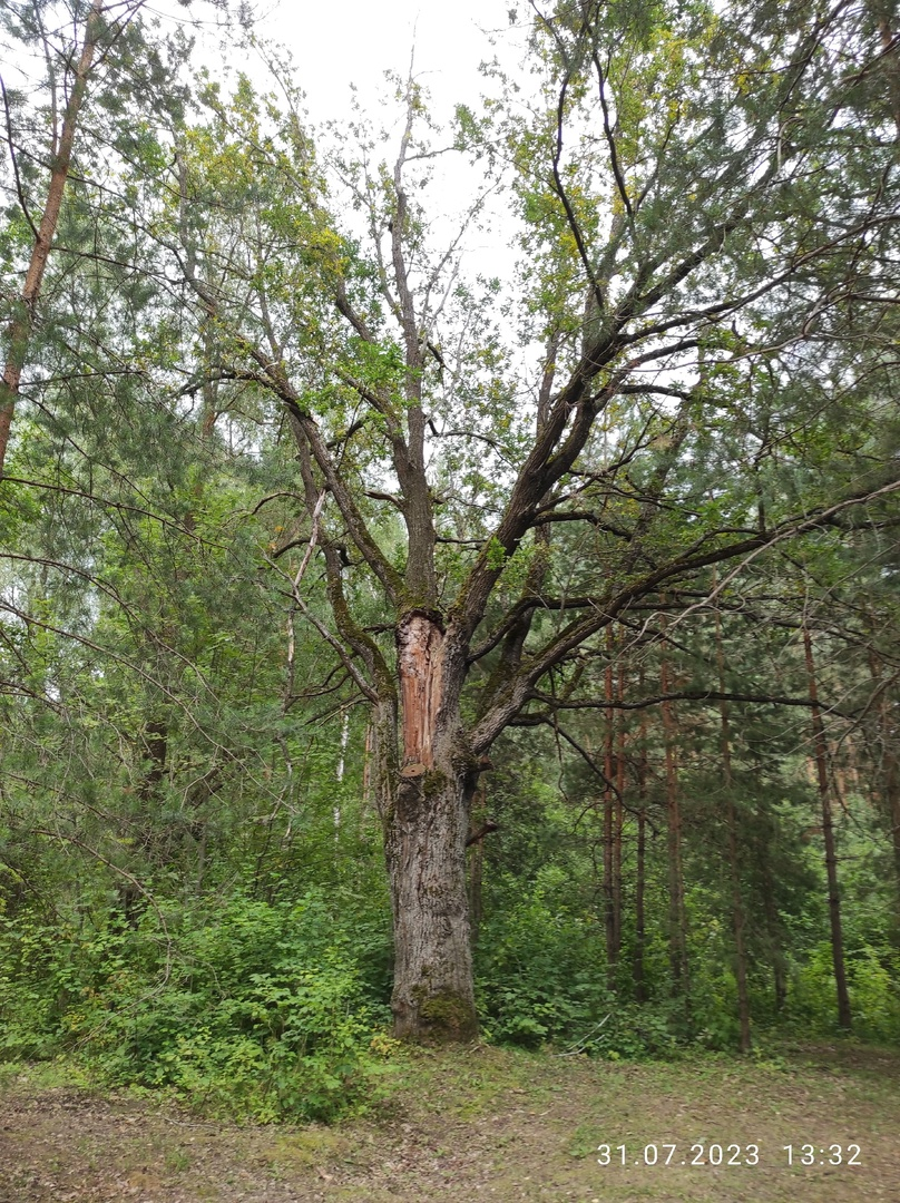 (из личных фото)