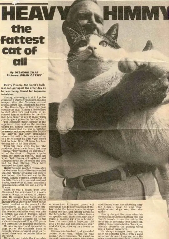 Фотография кота Химми в газете