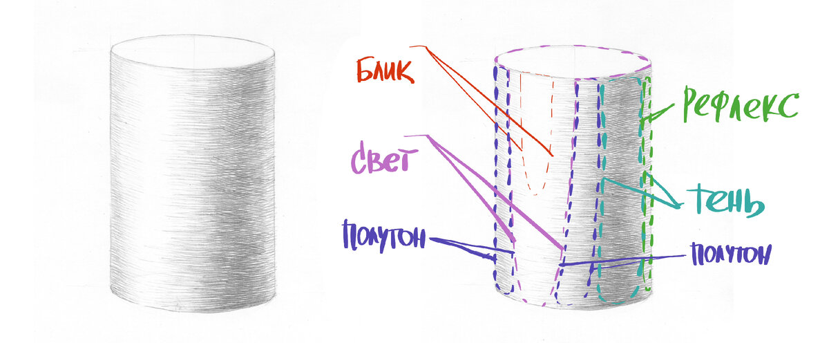 Цилиндр и его разбор на составляющие: блик, свет, полутон, тень, рефлекс.