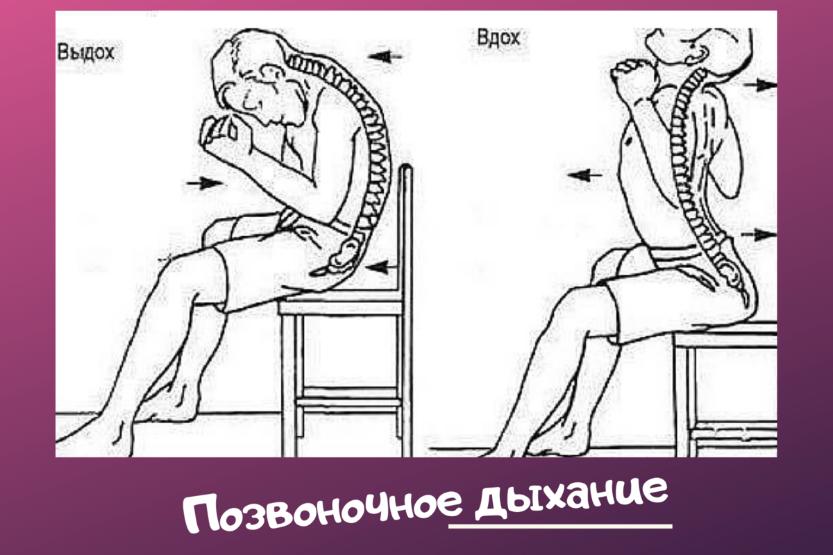 Это именно позвоночное дыхание - когда дыхание делается вместе с движением (попробуйте вспомнить видео в начале статьи). Чем они отличаются и почему? Об этом в следующих статьях.
