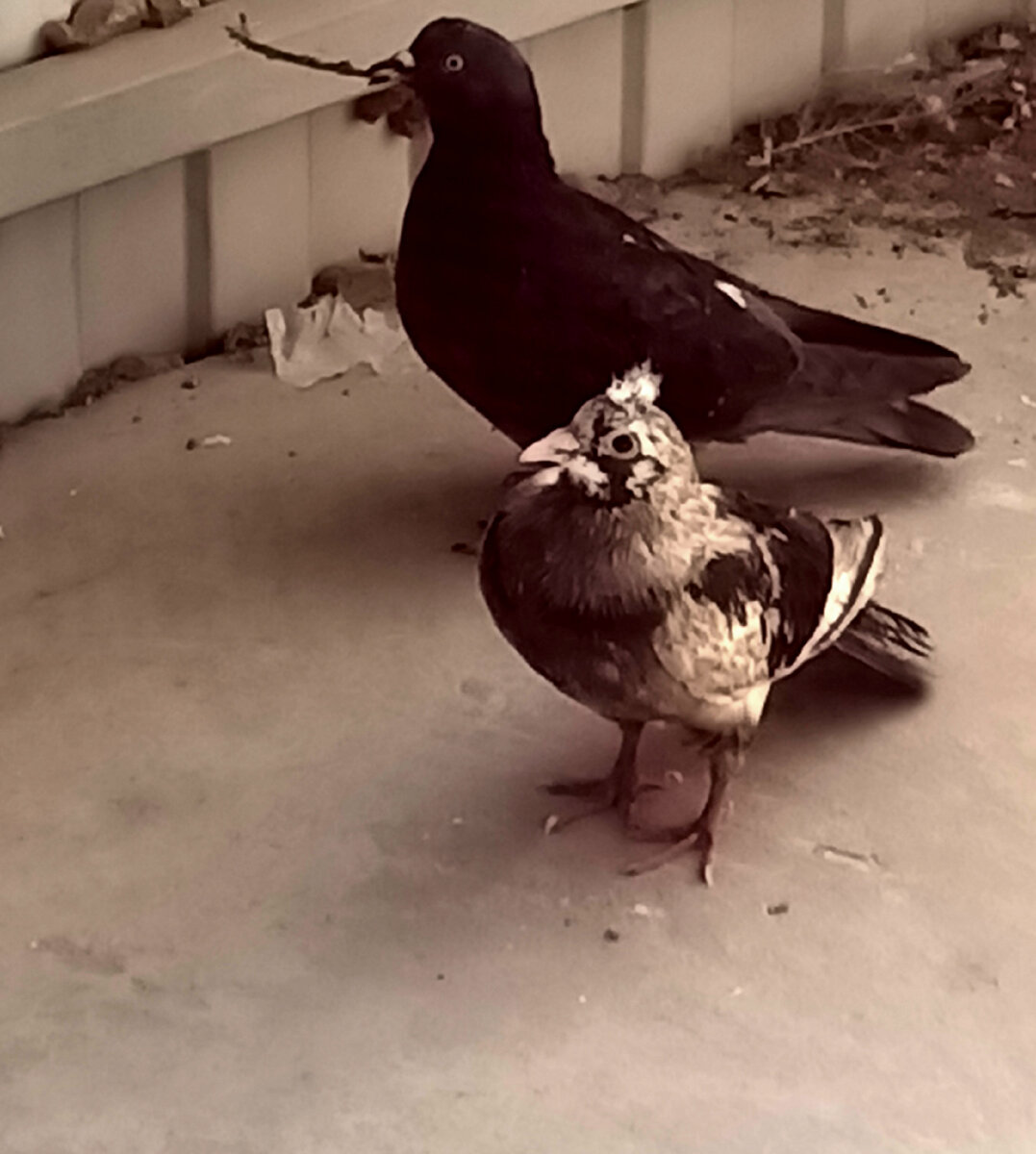 фото автора