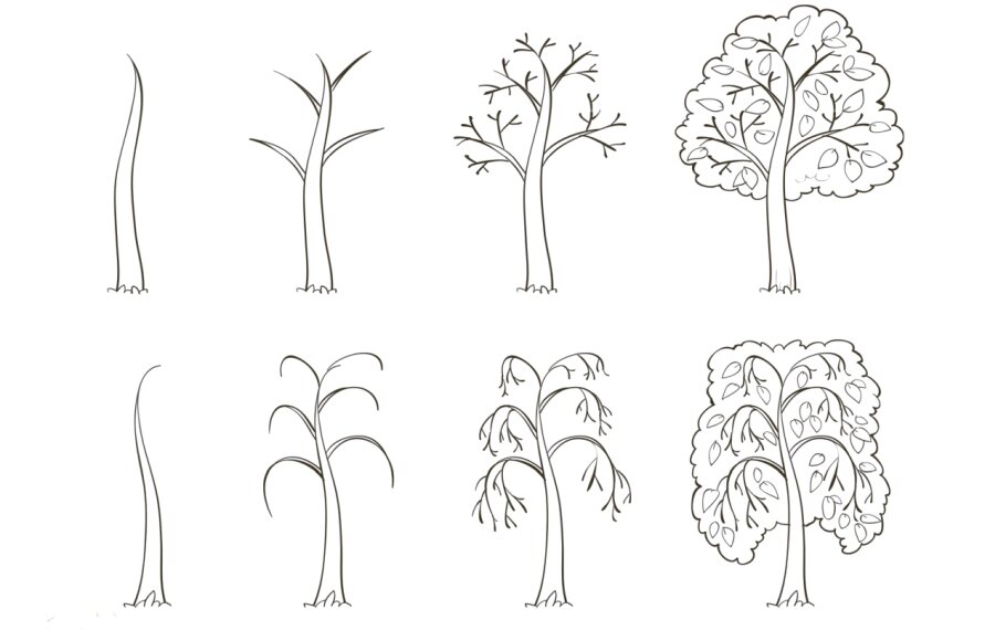 Рисуем Поэтапно Вместе С Детьми Деревья