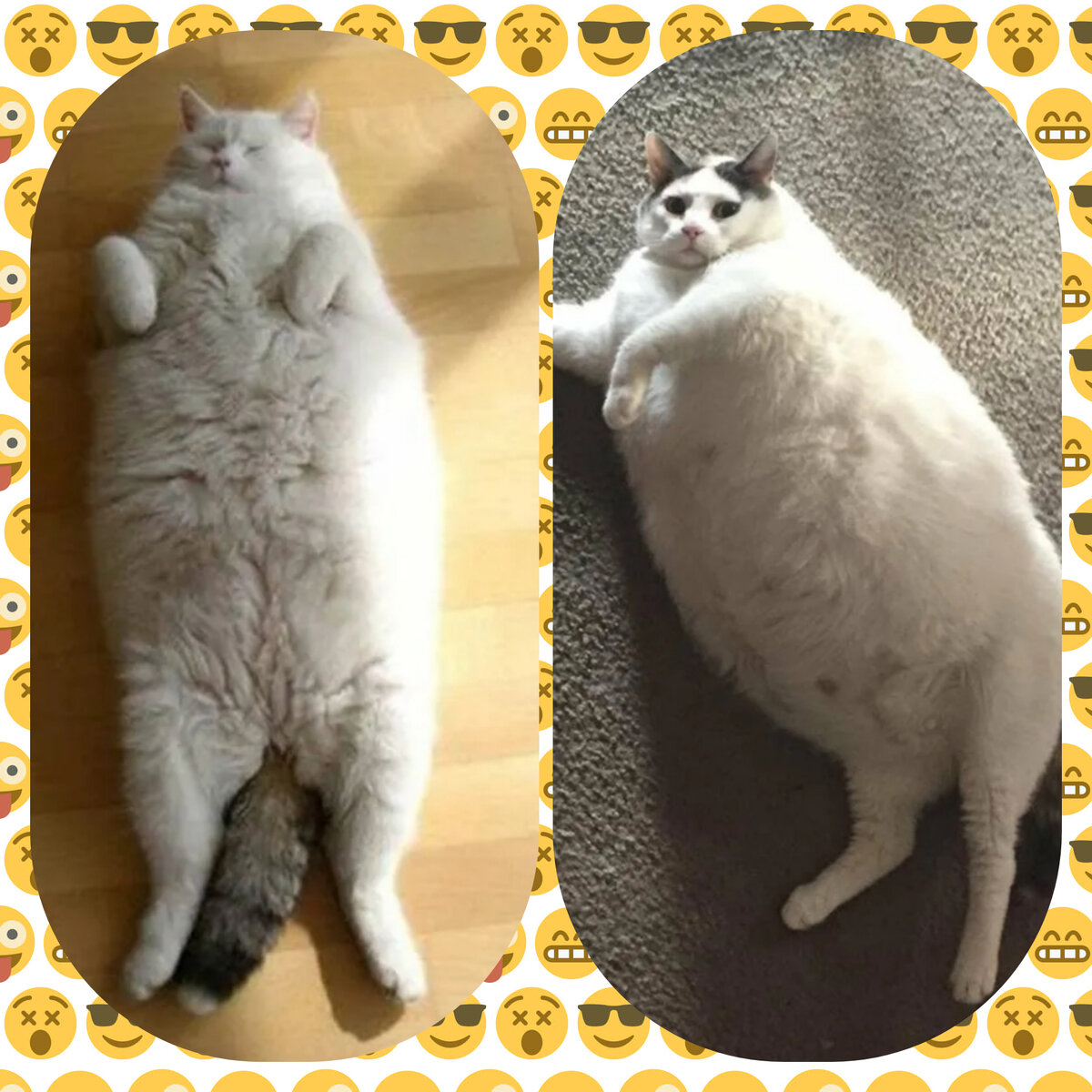 Источник : яндекс картинки 