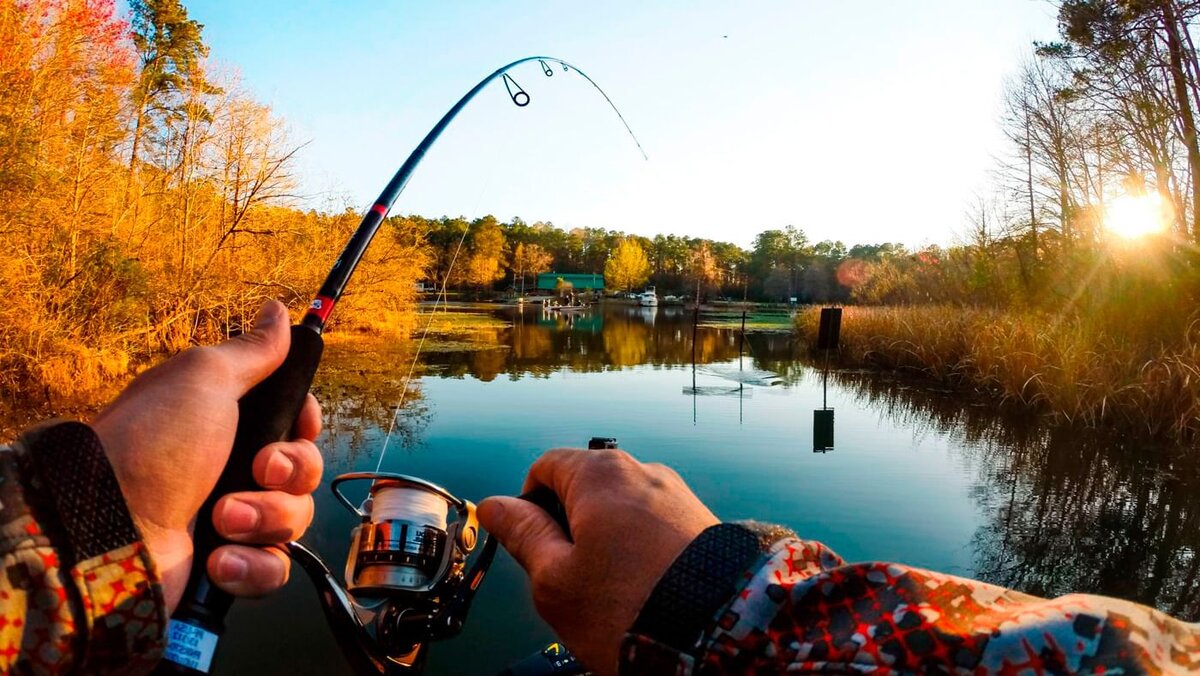 источник https://clck.ru/WBd3k