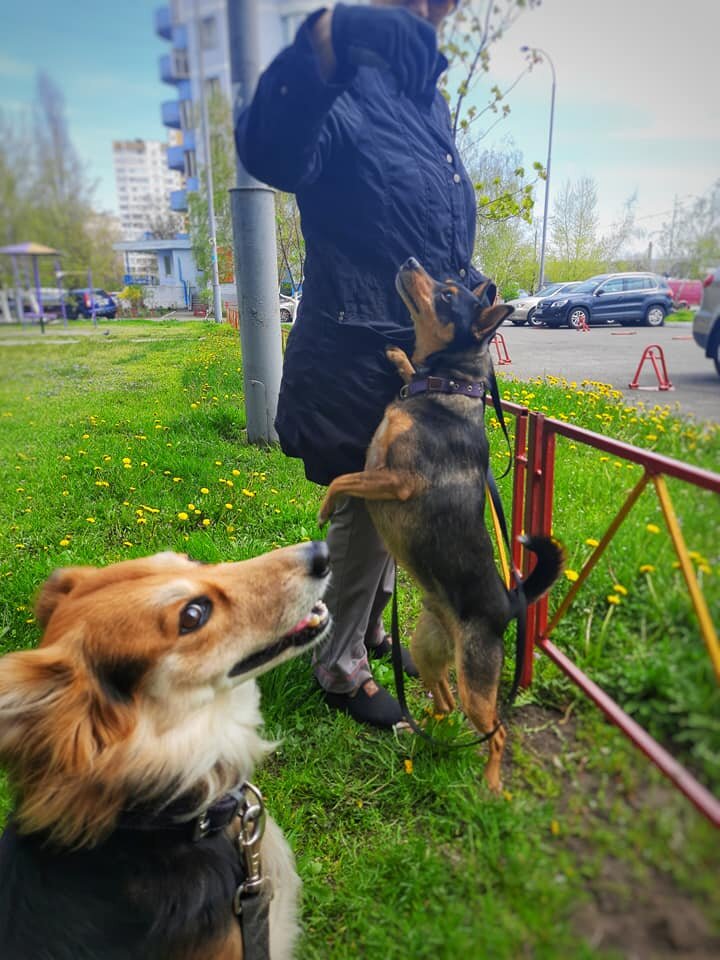  А вот и Яша