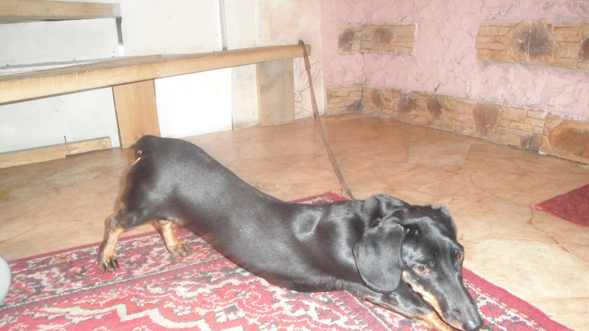 Фото из личного архива