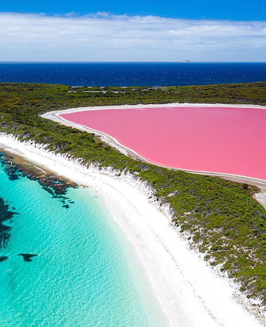 В западной австралии есть настоящее розовое озеро. Розовое озеро в австралии