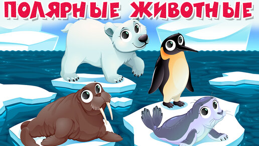 Полярные животные для детей. Учим животных Арктики | Здесь интересно | Дзен