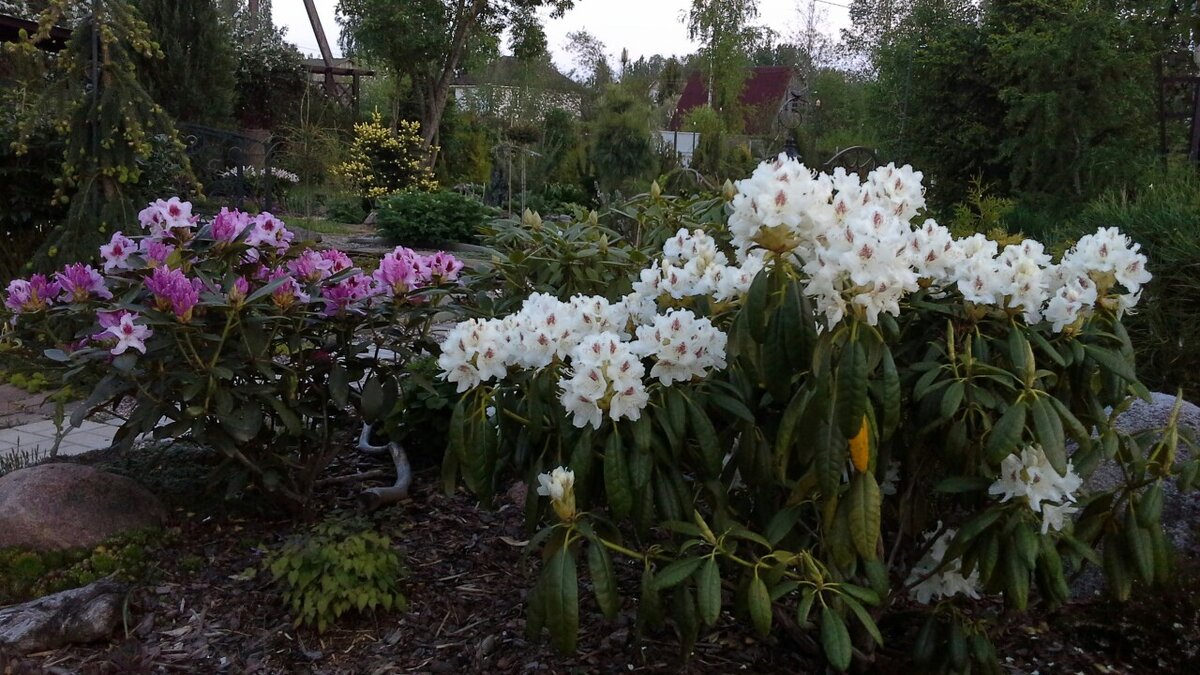 2 фото, листайте