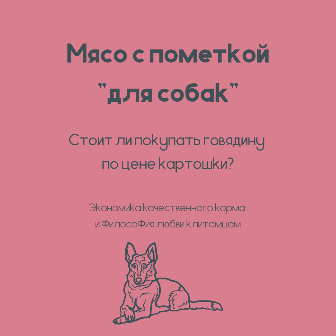 Стоит ли покупать дешевое мясо с пометкой "для собак" на рынке? Почему качественный корм так дорого стоит? На эти вопросы мы отвечаем в этой статье и рассуждаем на тему любви к питомцам...