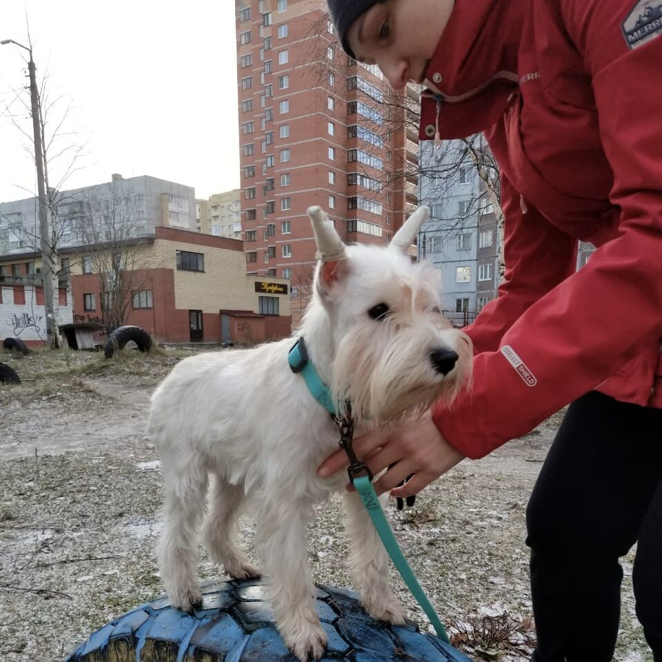 Занимаемся у детской площадки. Бегающие дети - сильный раздражитель.