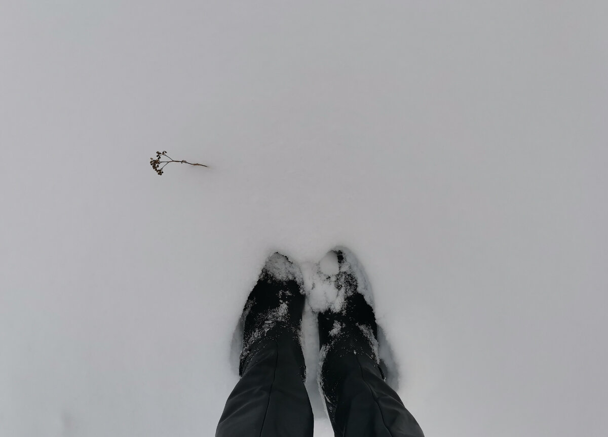 Снежно. Фото автора.