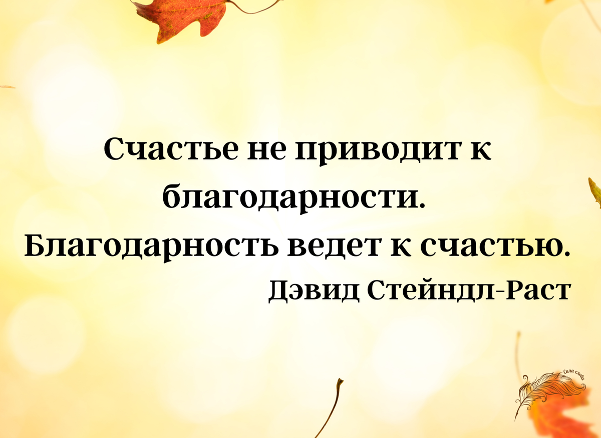 Что роднит счастье с хлебом и как выработать привычку быть счастливым |  Сила слова | Дзен