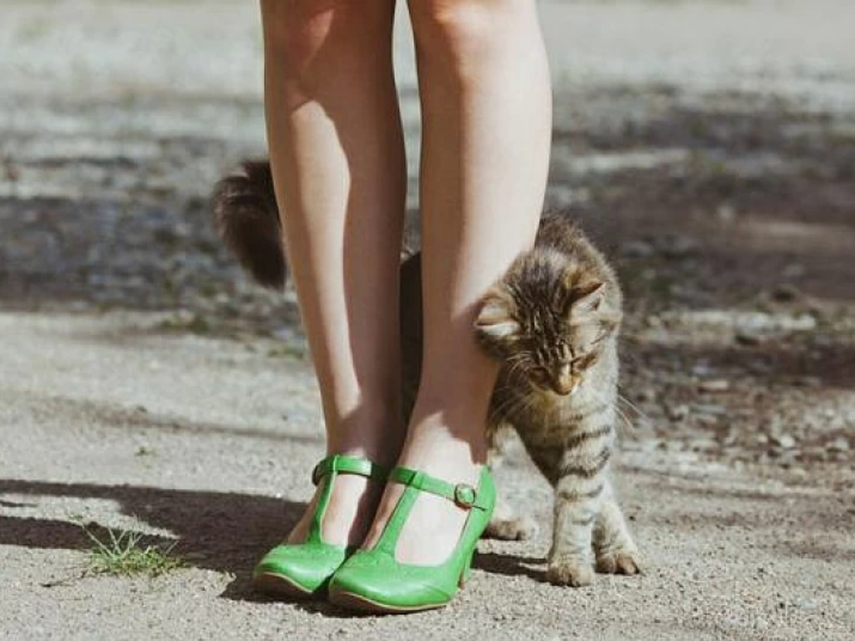 фото: shutterstock.com