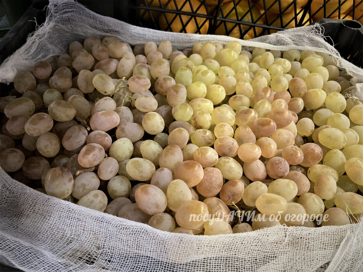 Как только мамочки в Интернете не изгаляются в советов по мытью винограда...