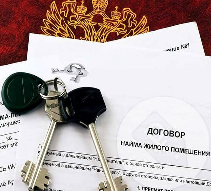 фото из открытых источников