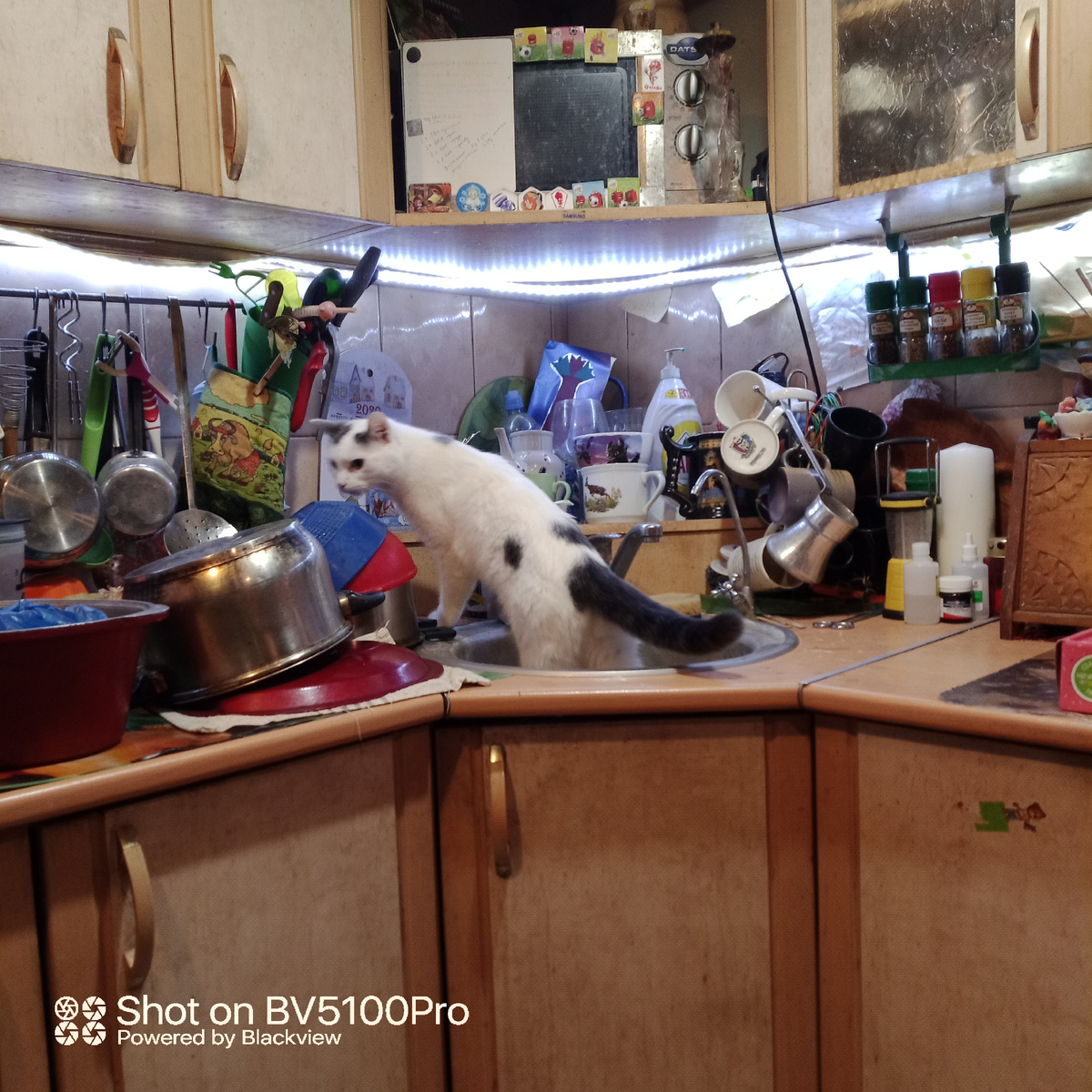 Вот такой бардак сегодня и будут разбирать по всем каналам телевидения. Фото автора