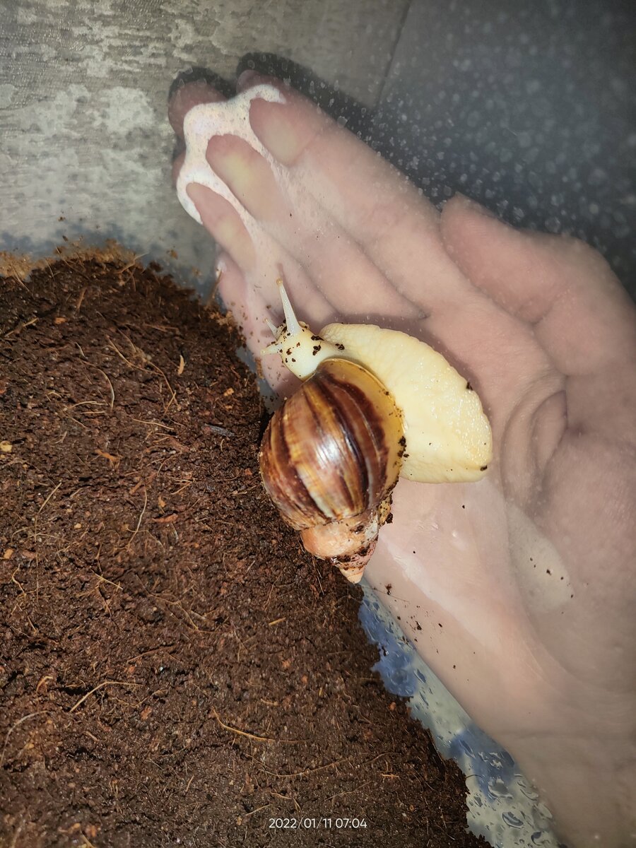 Зовут малютку - Феня