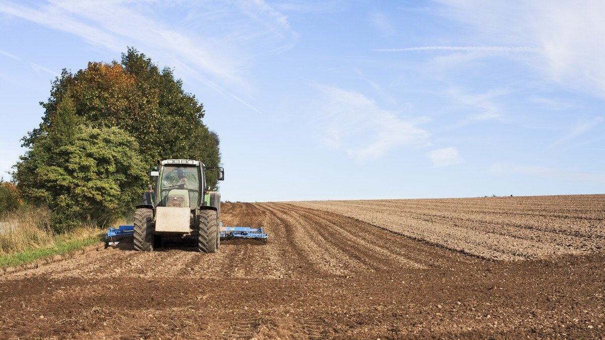 Фото:pixabay.com