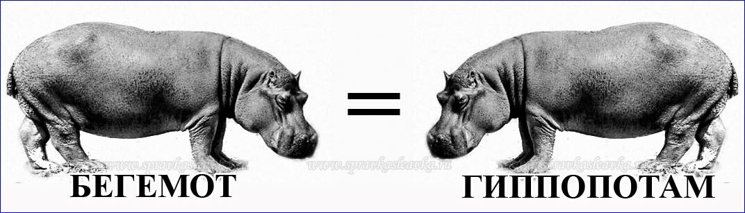 Аналоги товаров в 1С могут быть одним и тем же товаром, но от разных поставщиков (дубли номенклатуры). Рекомендуется использовать номенклатуру поставщиков.