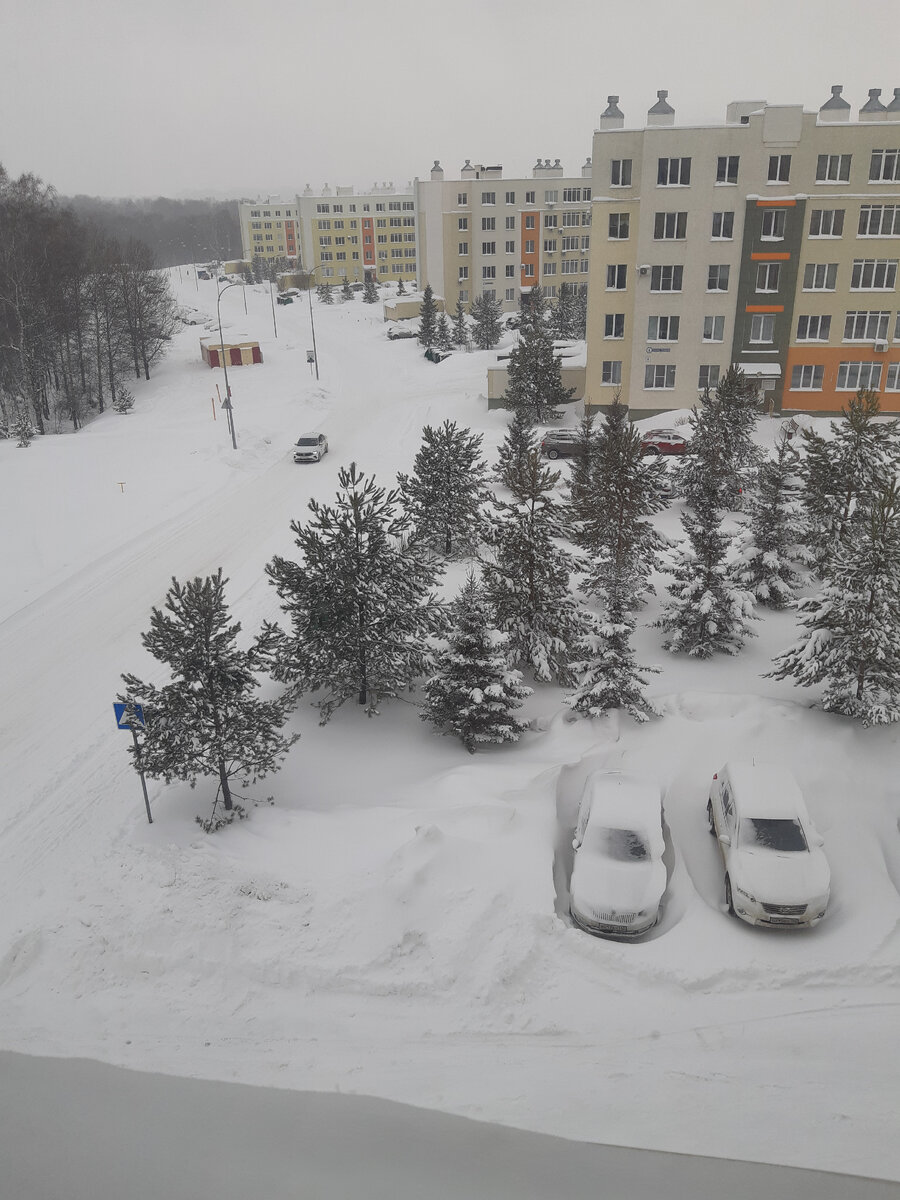Это зима в Кузбассе! Снег+снег+снег=морозявенько!