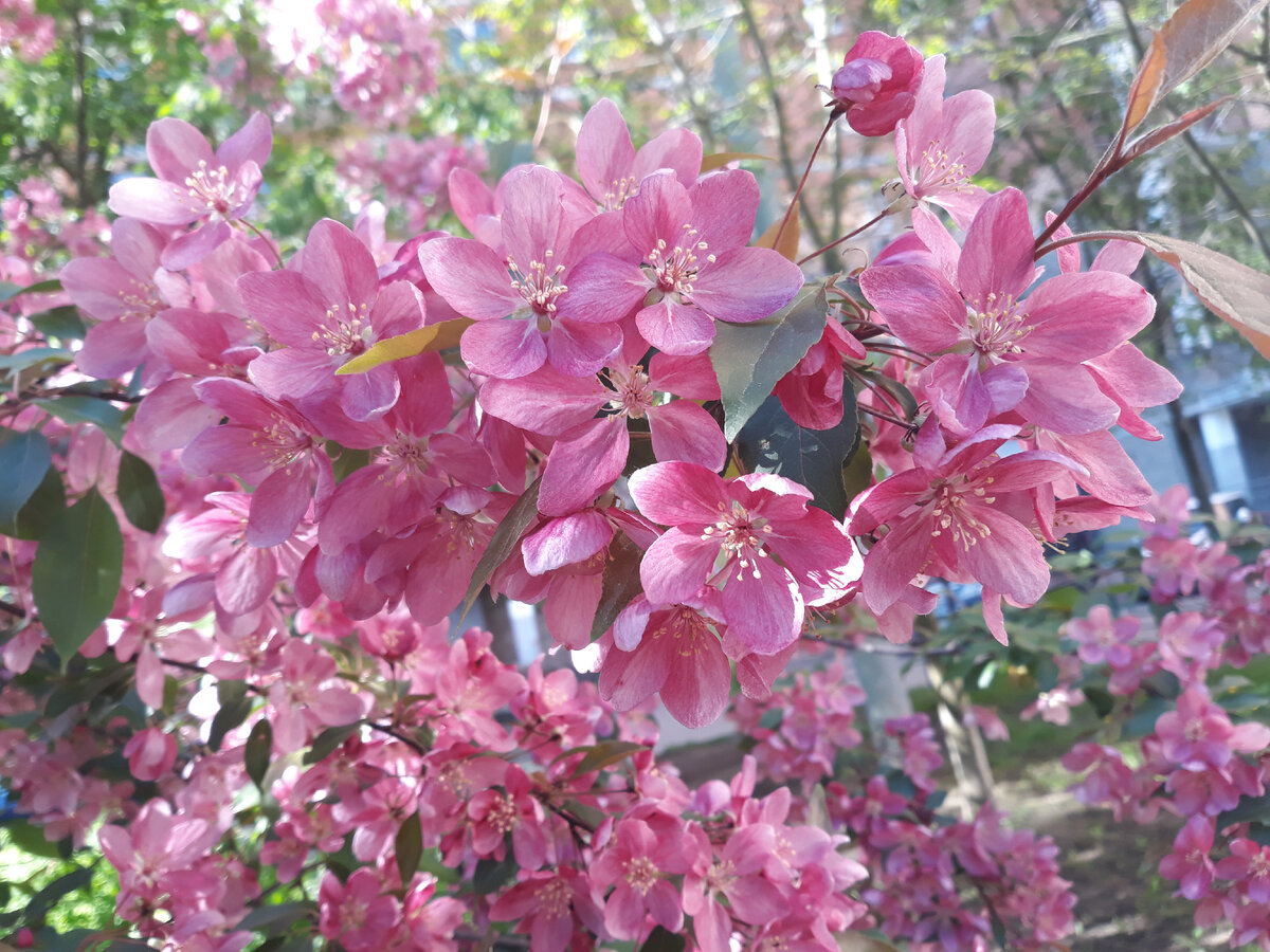 Везде красиво. Нереально