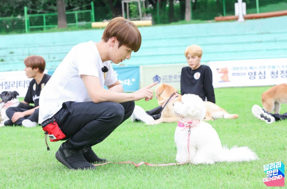 Run BTS. Куки тренирует пушистого партнера