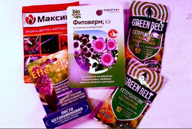 Пять, на мой взгляд, нужных препаратов купила в ОБИ.