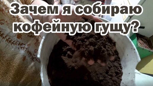 Использование кофейной гущи в огороде