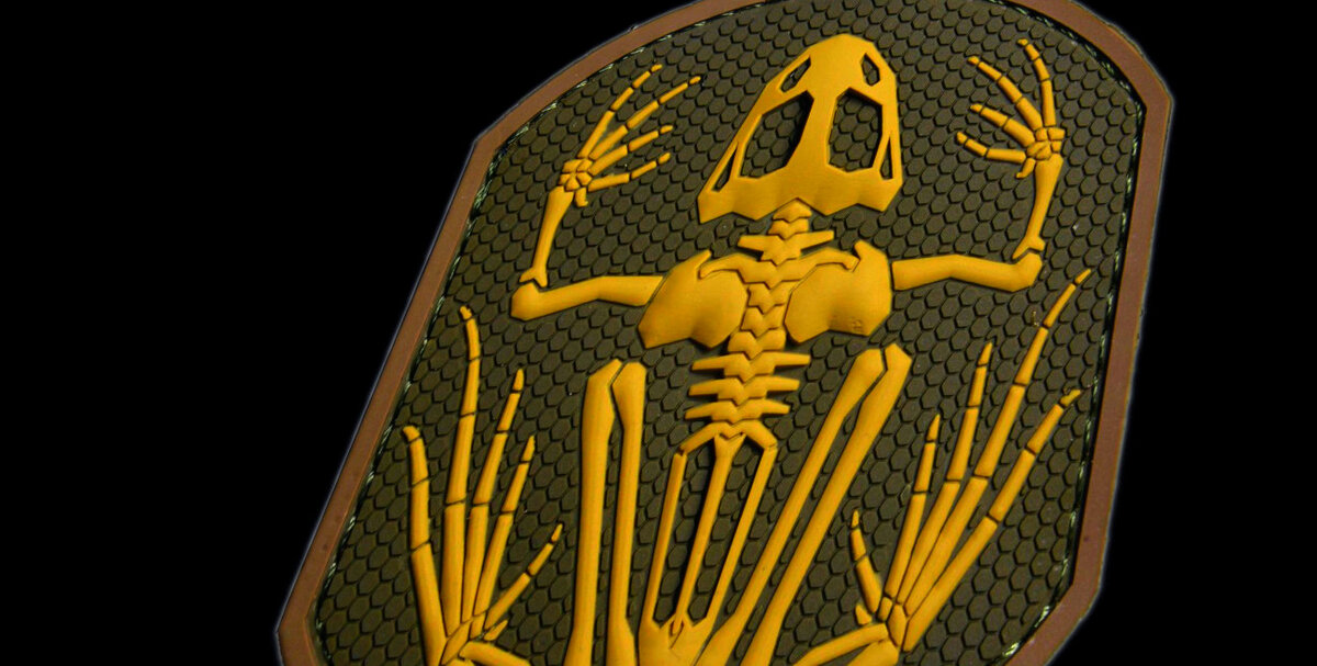 Скелет лягушки является культовым символом Navy SEALS.