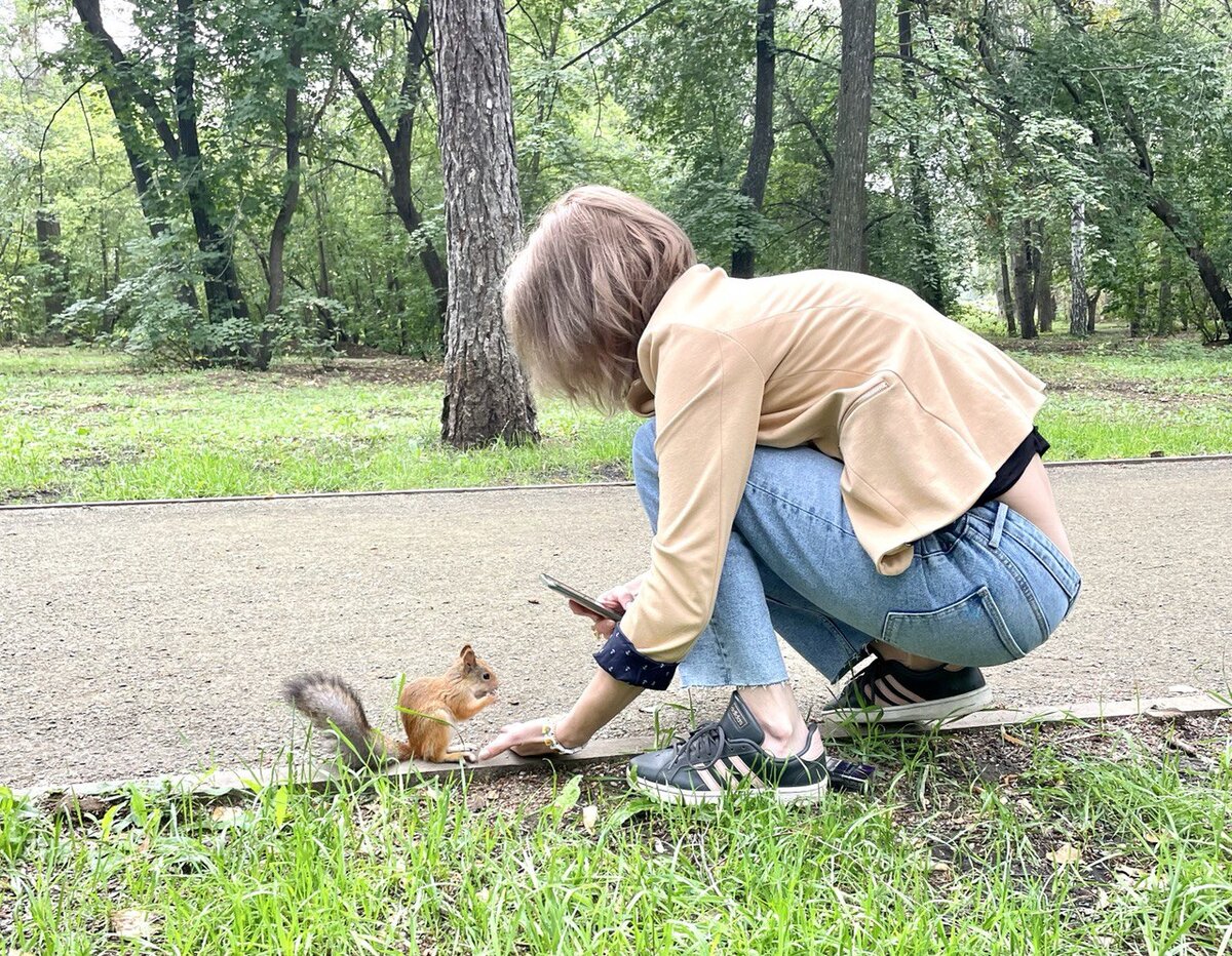 Особенно соблазнительно покормить белочку с рук, но именно это может быть опасным