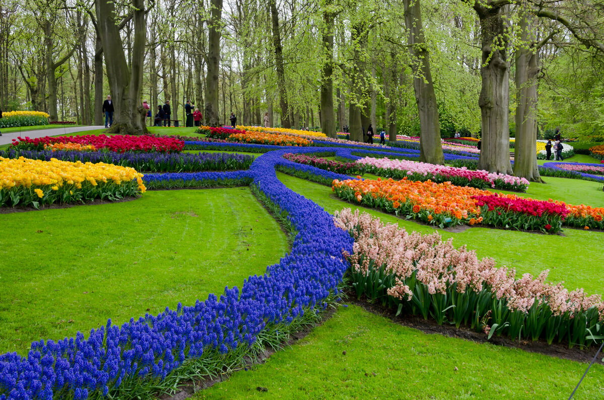 парки голландии фото