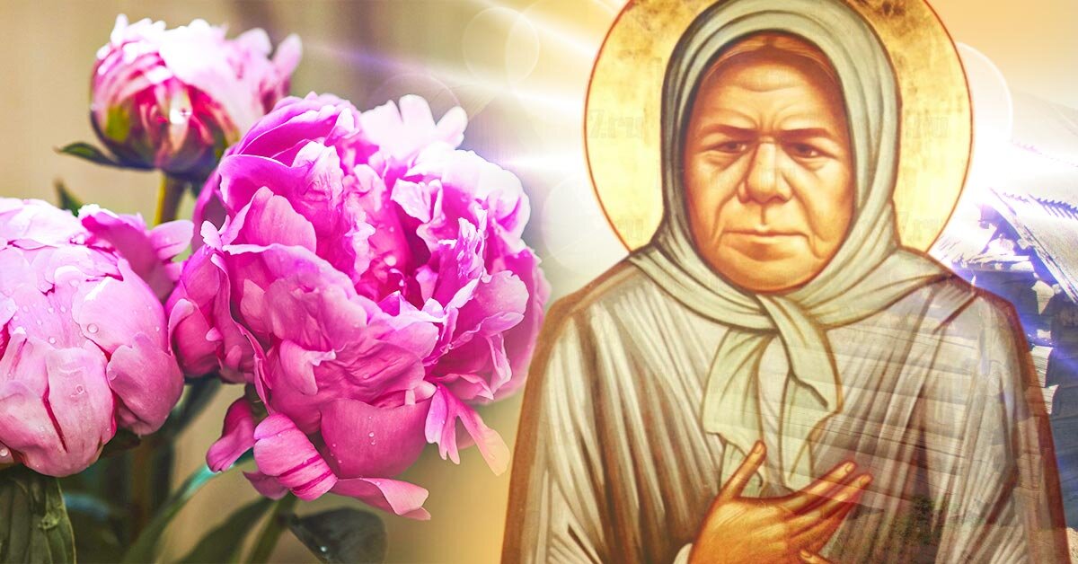 О каких чудесах предупреждала блаженная Пелагея Рязанская | Так Просто ...