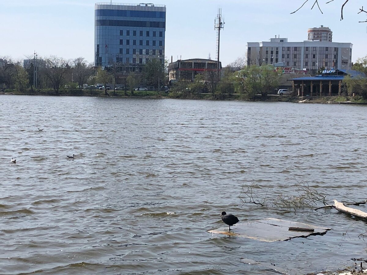 Верхнее Покровское озеро