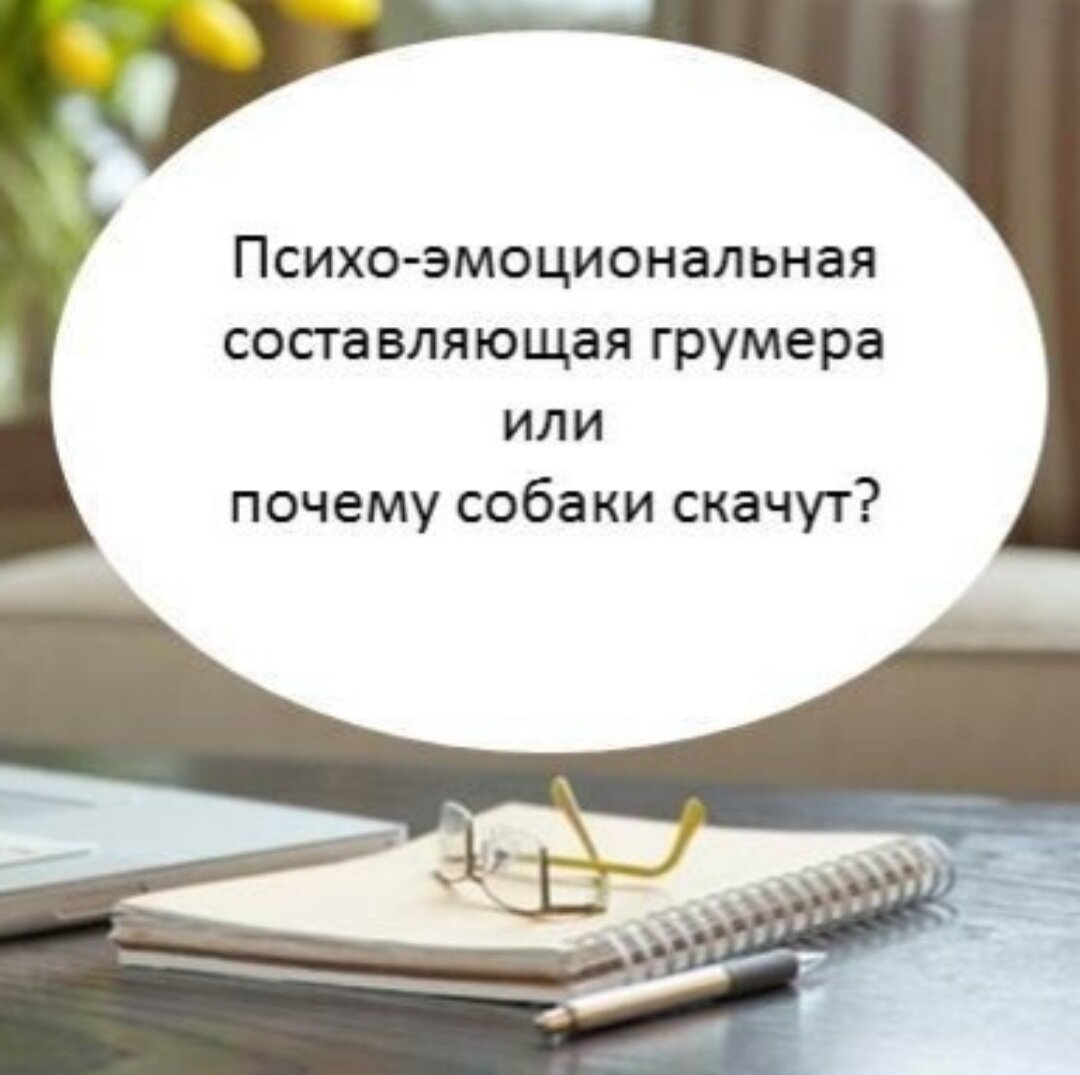 Стригу-Собаку: блог грумера, владельца зоосалона и просто хорошего человека.
