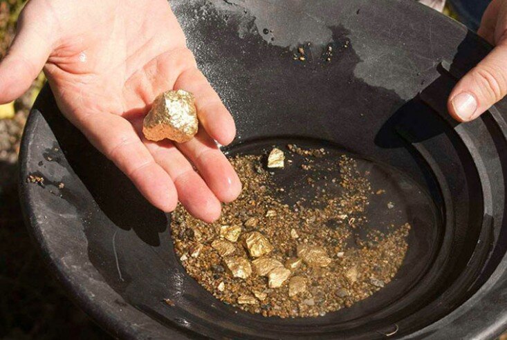 Фото: uz.sputniknews.ru 