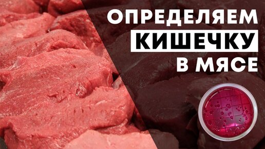 Как обнаружить кишечную палочку в замороженном мясе?