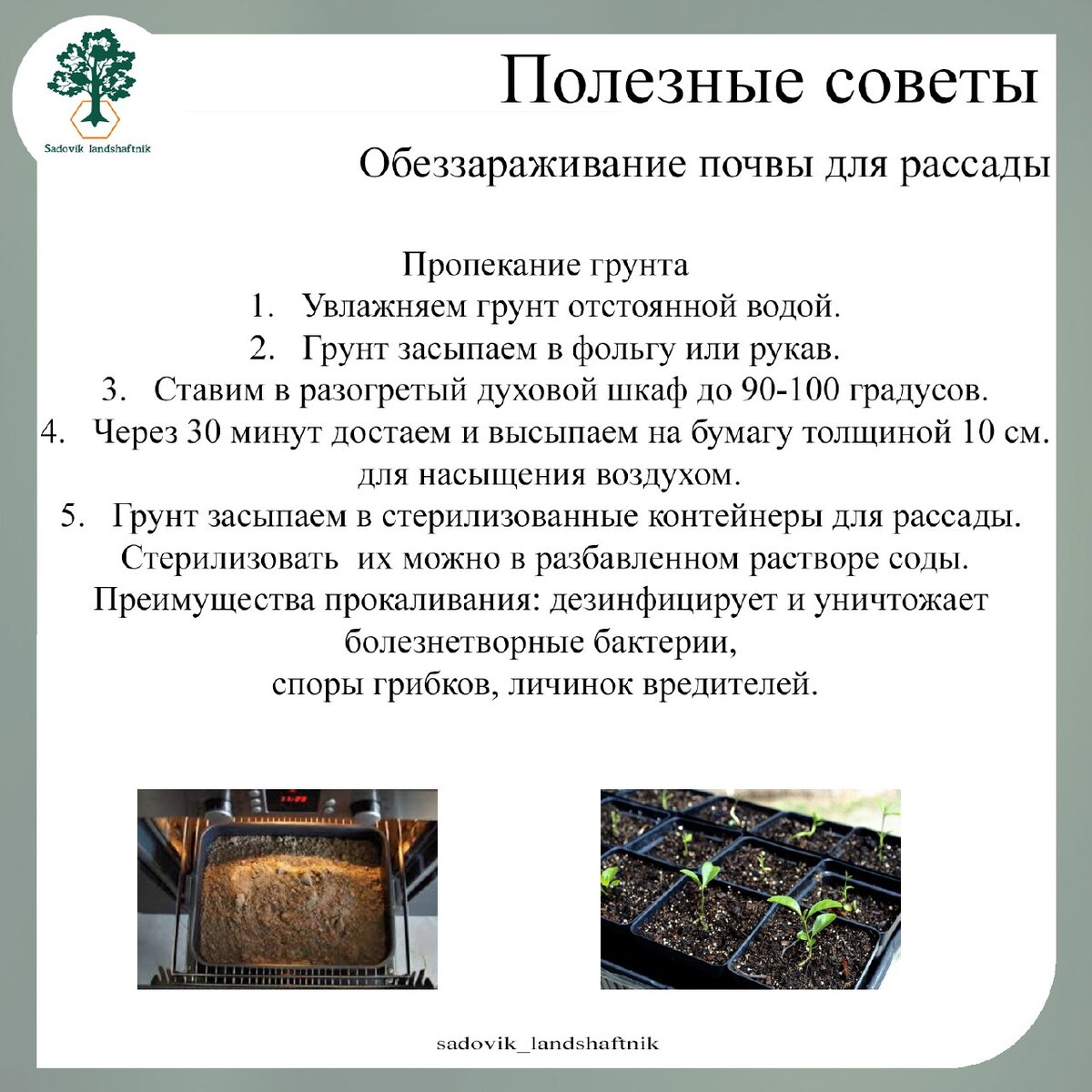 Обеззараживание грунта для рассады. Обеззараживатель почвы. Обеззаразить почву для рассады. Дезинфекция почвы.