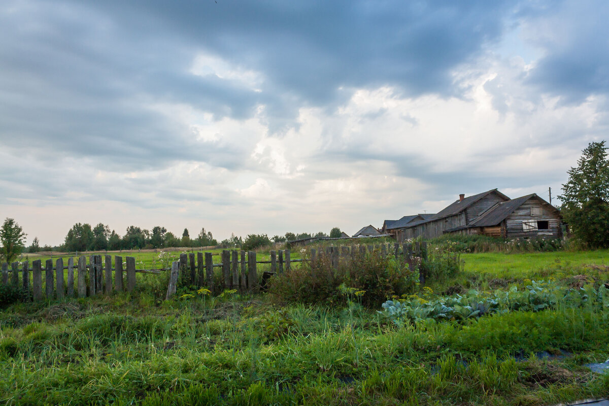 Село в александровском районе